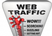 send 1000+ real targeted USA and china Guranteed visitors to your website,blog