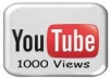 give you 1,000 youtube views