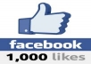 Provide 1000 Facebook likes Only