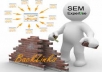 create over 500 backlinks use Senuke X