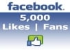Give You 5,000+ Real & Permenant Facebook Page Likes Within 3 Days