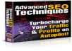 Advanced Seo Techniques