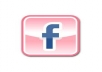 give you 1250 facebook likes for your facebook fan page 