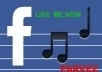 provide 1003+ facebook like your account