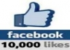 give you 10000 Real and active Facebook Fans