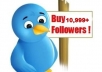 Give You 10999+ Real Twitter Followers 