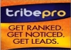 promote TWO links through TribePro so that each one gets shared syndicated at least 1,235 times 