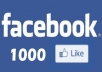 give you 2000 facebook likes or followers within 3 dsys