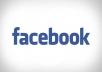 provide you with 30 Facebook PVA 