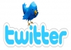 provide you with 1000 Twitter accounts