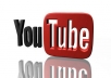provide you with 100 YouTube PVA