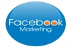 I will add 1000  Facebook Likes To Facebook Fan Page