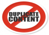 generate 300 Word Article Spin it and Submit it to 100+ SOCIAL Network Blogs about half PR1to4 