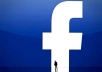 give you 30 non pva facebook account only