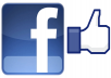 provide you 2000+ REAL looking Facebook Fans/Likes within 48 hours 