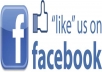 give you five hundred 100% real facebook likes