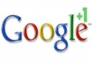 manually add Real guaranteed 31+ google plus 1 likes to any webpage