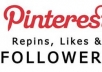 add 200+ Pinterest Followers without admin access within 72 hours 
