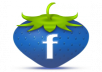 be send you 1000 likes of Facebook Fans