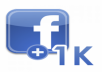 Get You 1000+ High Quality (Forever Staying) Facebook (Fan Page) Likes