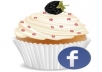 provide you 30 Louisiana LA based usa facebook fans within 5 hours