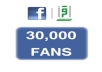 give 30,000+ facebook fans guaranteed(100% safe)