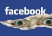  provide you who are lives in Michigan,Detroit based 200 facebook fans or likes