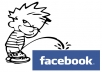    provide you 50 Missouri MO based usa facebook fans/status/likes/votes/photos/videos/comments within12 hours