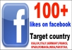 give you 130++ targeted USA,UK,SPAIN,ITALIAN,FRANCE,INDIA,GERMANY,ROMANIA,PAKISTAN,CANADA,TURKEY,VIETNAM,Italy,facebook likes for your facebook fan
