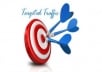send 2000 real targeted visitors to your website or blog