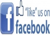 add 185+ real facebook likes and fans your fan page