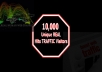 send you 10000 hits to your website Adsense Safe