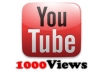 provide you 1000 real youtube views + 50 likes for only 3 days