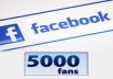deliver 5,000 fans or followers in Facebook just