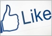 deliver 3,000+ Likes,Fans and bonus 1,000+ REAL facebook Followers to your Facebook profile for