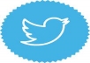 Give you 570+ Twitter Followers 100% Manually guarantee your page
