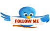 give you 1000+real twitter followers