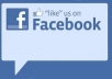 give you 1000 to 1200 Facebook Likes or Fans to your Fanpage, facebook likes all deliver within 24 hours