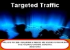 Give You 2000+ Real Human TARGETED Web Visitors To Your Site To Get Unlimited Exposure And Boosting