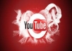 provide you 2000 real human youtube views + 50 likes for only 3 days