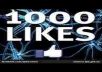 GIVE YOU 1000 REAL FANS LIKE FOR YOUR FACEBOOK FAN PAGE ONLY REAL NOT BOT LIKE  ONLY