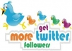 get 5000 TopQuality Permanent Twitter Followers to Your Twitter Account within 8 hour