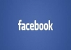 add 4000+ LEGIT facebook likes to your page