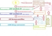 create multi tier Link Pyramid with 25 high pr and popular web 20 and 5000 blog comments for