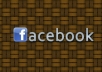 give you 15oo+ facebook likes,100% real and active user delivery witjin12 hours
