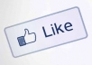 add 3000 REAL & PERMANENT Facebook LIKES or FANS To Your Fanpage or Website naturally in 30 days
