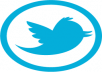 give you 500 fully profiled Twitter accounts