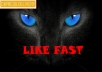 give you 2,500++ Real [PERMANENT] facebook likes/subscribers/followers to your page within 72 hours