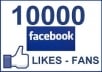 provide 10000 real Facebook Targeted US Fan Page Likes without admin access within 24 hours