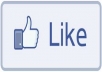 give you 1000 facebook likes with in 24 hours